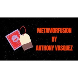 Metamorfusion by Anthony Vasquez