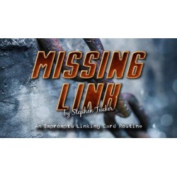 The Missing Link by Stephen Tucker