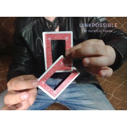 LINKPOSSIBLE by Patricio Teran