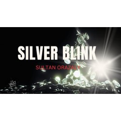 The Vault - Silver Blink by Sultan Orazaly