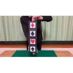 Flip Flop Magic Trick by Wisdom of Magic