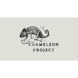 The Chameleon Project by Michael Shaw