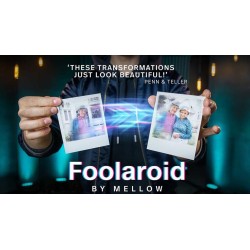 Foolaroid by Mellow