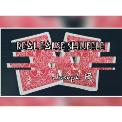 REAL FALSE SHUFFLE by Joseph B.
