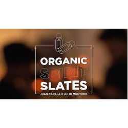 Organic Spirit Slates by Juan Capilla and Julio Montoro
