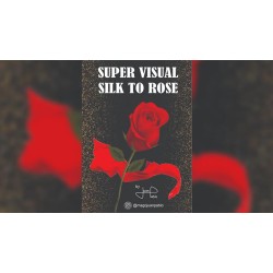 Super Visual Silk To Rose by Juan Pablo