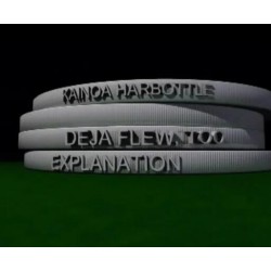 Deja Flew Too by Kainoa Harbottle