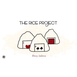 The Vault - The Rice Project by Danny Urbanus