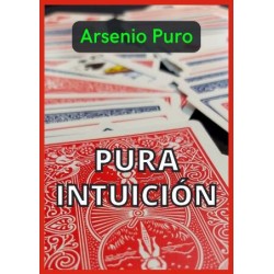Pura Intuici