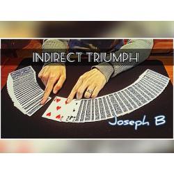 INDIRECT TRIUMPH by Joseph B.