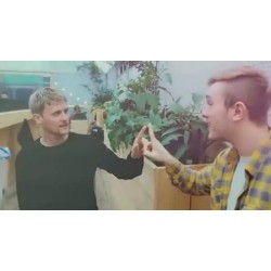 Connection by Ollie Mealing