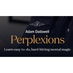 Perplexions by Adam Dadswell