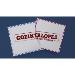Gozintalopes by Ryan Pilling (Videos + Templates)