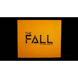 The Fall by Noel Qualter