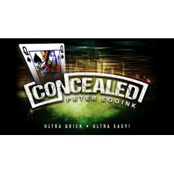 Concealed by Peter Eggink