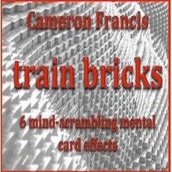 Train Bricks by Cameron Francis