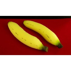 Multiplying Bananas by Alexander May