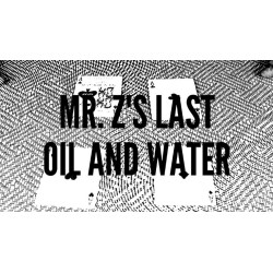Mr Z's Last Oil and Water by Zee J. Yan