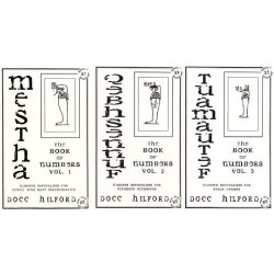 The Book of Numbers by Docc Hilford 1-3