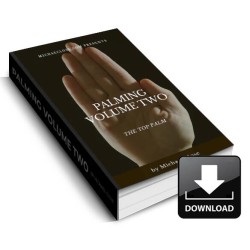 Palming Volume Two by Bottom Palm