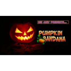 Pumpkin Bandana by Lee Alex