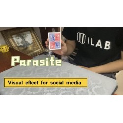 Parasite by Dingding