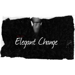 Elegant Change by Dan Alex