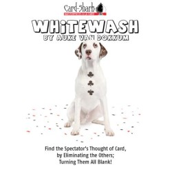 Whitewash by Auke van Dokkum