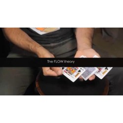 The Flow Theory by Yoann F