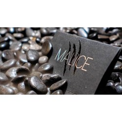 Malice by Xavior Spade(Instruction Video Only)