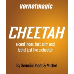 Cheetah by German Dabat & Michel