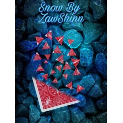 Snow By ZawShinn