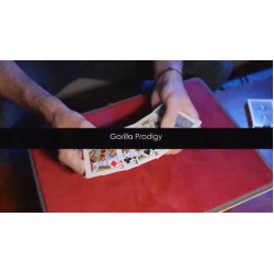 Gorilla Prodigy by Yoann.F