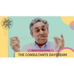 The Consultant's Daydream by Ananth Viswanathan