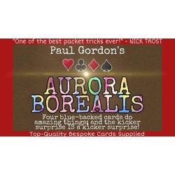 Aurora Borealis by Paul Gordon