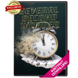 Several Second Wonder by Jack Tighe