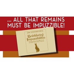 Bewildering Impuzzibilities by Jim Steinmeyer