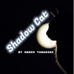 Shadow Cat by Mario Tarasini