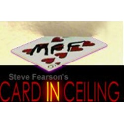 Card in Ceiling by Steve Fearson