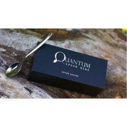 Quantum Spoon Bend by Peter Eggink