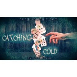 Catching Cold by Carl Irwin