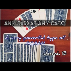 ANY CARD AT ANY CATO by Joseph B.