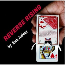 Reverse Rising by Ihab Asfour