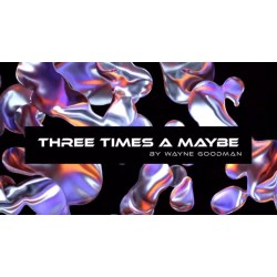 Three Times a Maybe by Wayne Goodman