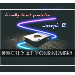 DIRECTLY AT YOUR NUMBER by Joseph B.