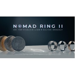 Nomad Ring 2 by Avi Yap