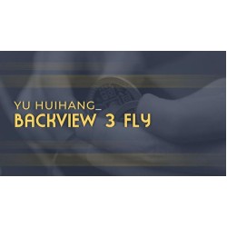 Backview 3 Fly by Yu Huihang