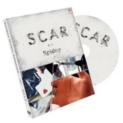 SCAR by Spidey & Shin Lim