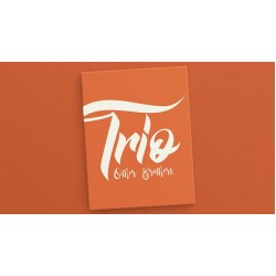 Trio by The Other Brothers
