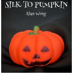Silk to Pumpkin by Alan Wong